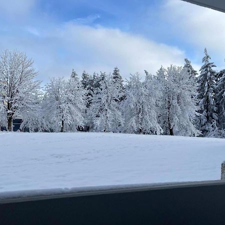 Ferienwohnung Auenglueck Hahnenklee Harz Goslar Exterior foto